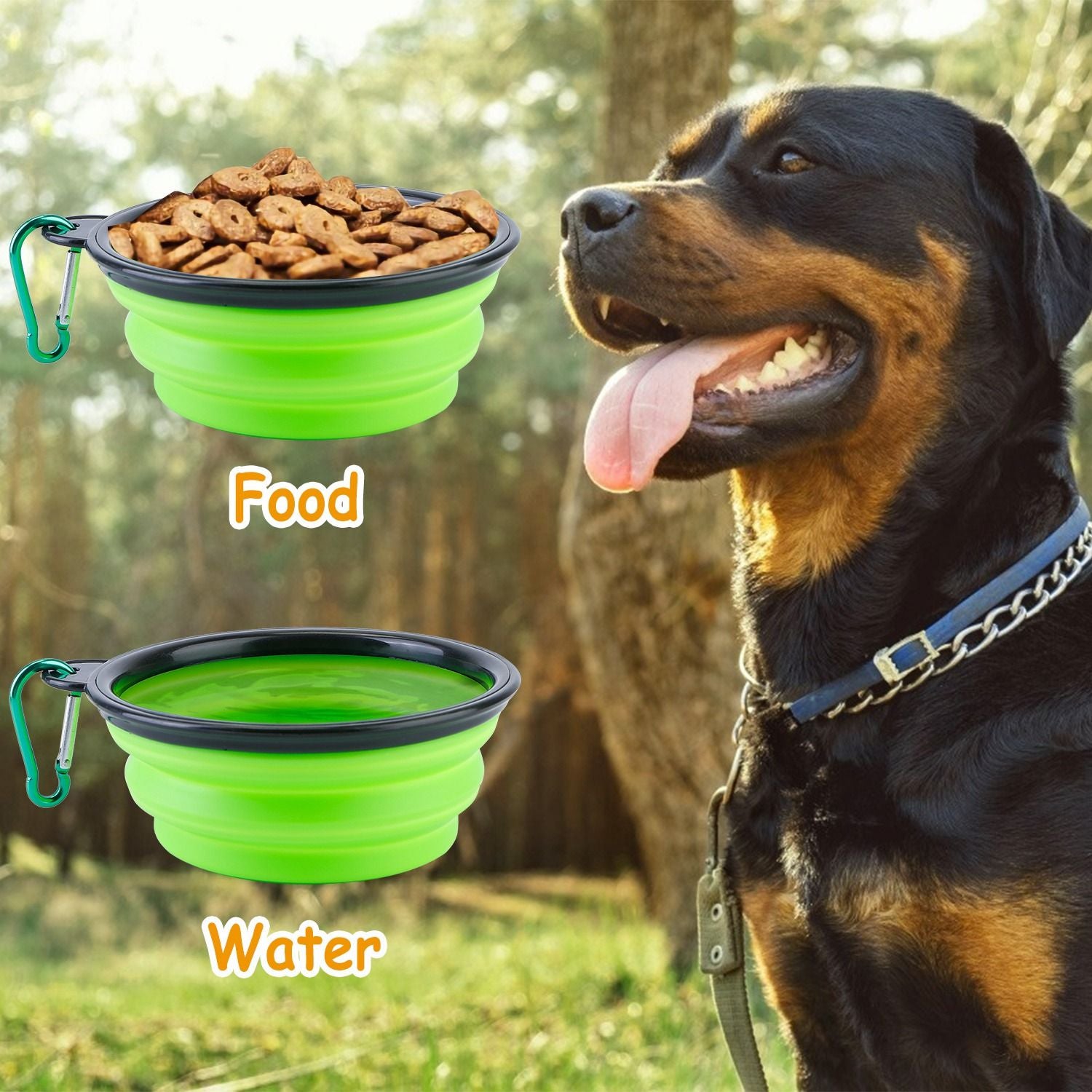 4pc Silicone Collapsible Dog Bowls - BPA Free - BagNook