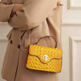 Load image into Gallery viewer, (yellow)Mae Mini Crossbody Handbag by Mia K - BagNook
