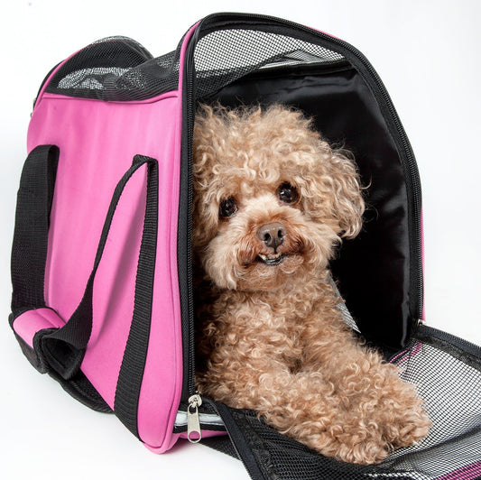 Small dog sitting inside a pink pet carrier on a white background