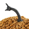 Load image into Gallery viewer, 461074521
