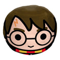 Load image into Gallery viewer, Harry Potter - "Lil Potter" Cloud Pillow - BagNook
